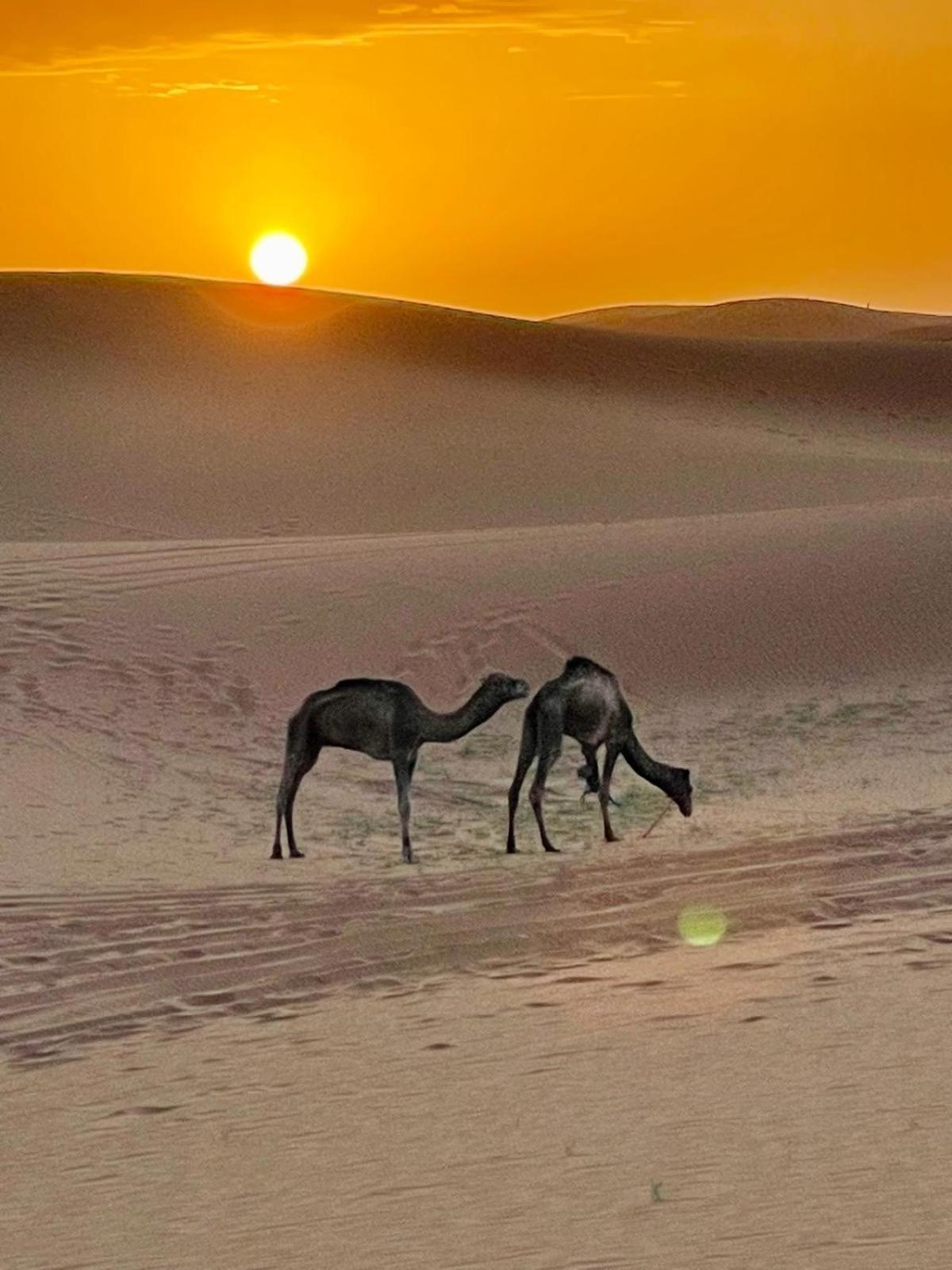 Chigaga Desert Camp M'Hamid Zewnętrze zdjęcie